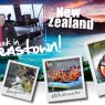 Our Week in Queenstown – NZ